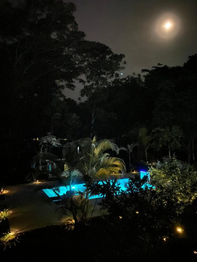 La Amapola Lodge, Bungalow En Peninsula De Osa. Barrigones Екстер'єр фото